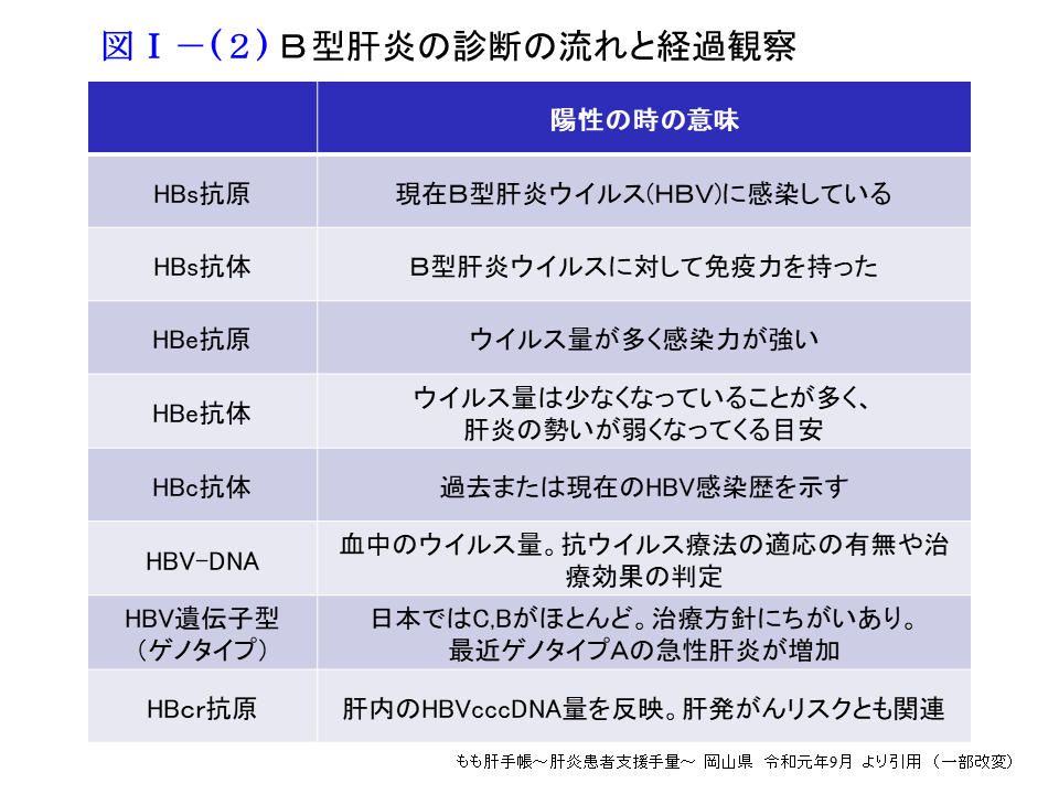 B型肝炎の診断の流れと経過観察