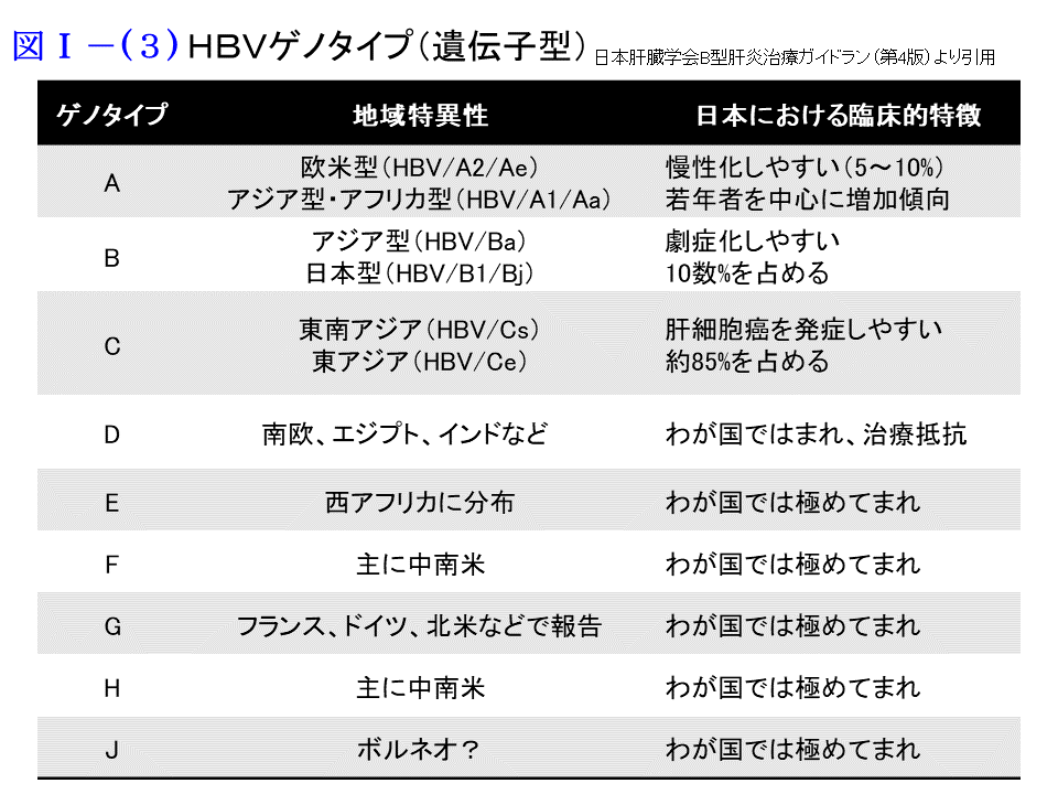 HBVゲノタイプ（遺伝子型）