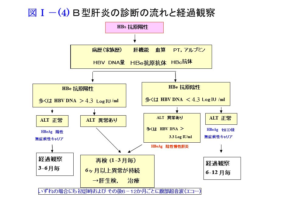 B型肝炎の診断の流れと経過観察