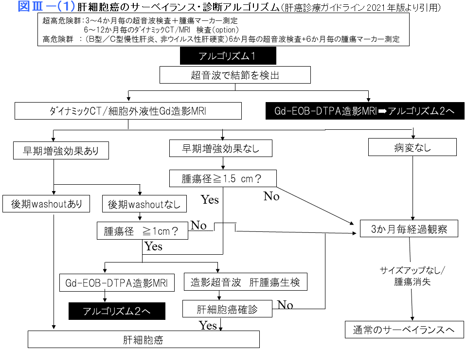 肝細胞癌のサーベイランス・診断アルゴリズム