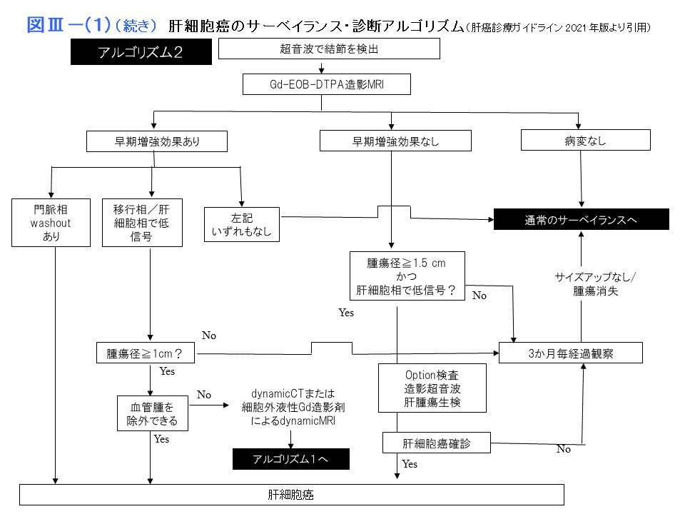 肝細胞癌のサーベイランス・診断アルゴリズム（続き）