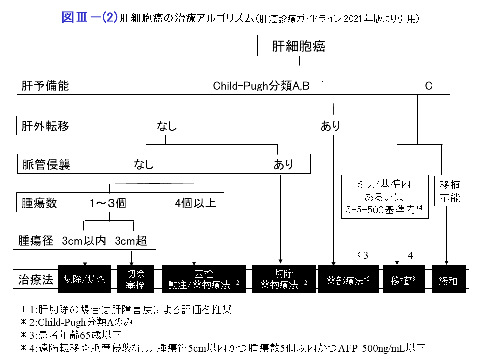 肝細胞癌の治療アルゴリズム