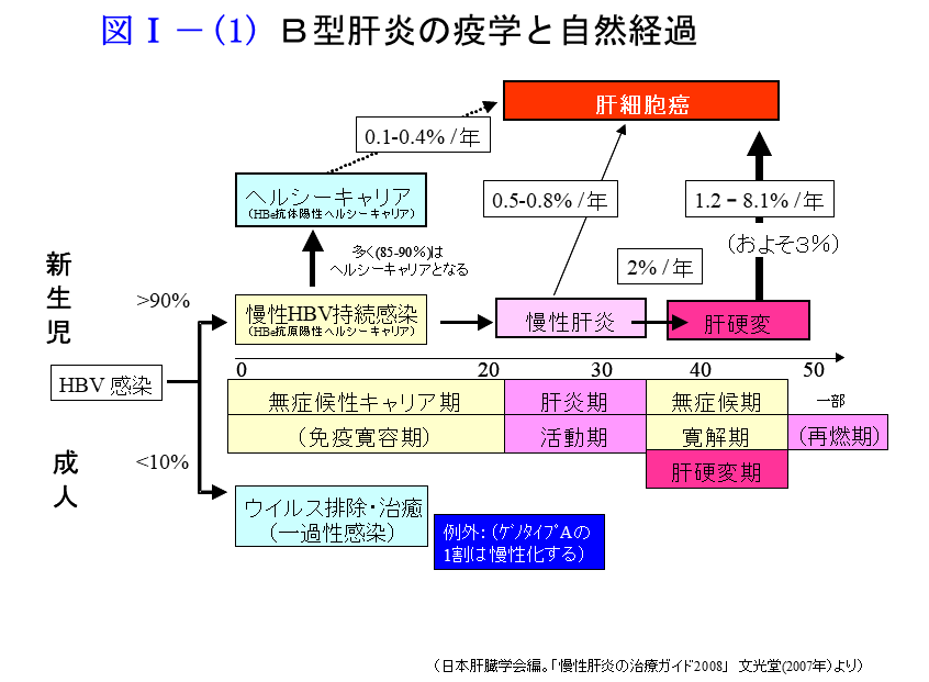 B型肝炎の疫学と自然経過