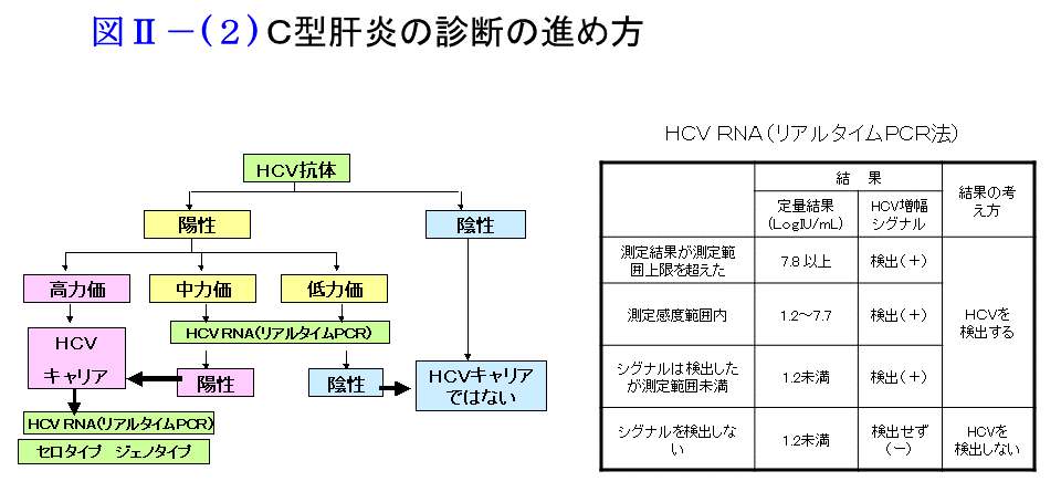 C型肝炎の診断の進め方