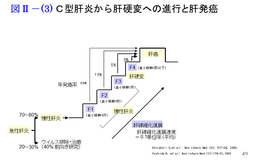 C型肝炎から肝硬変への進行と肝発癌